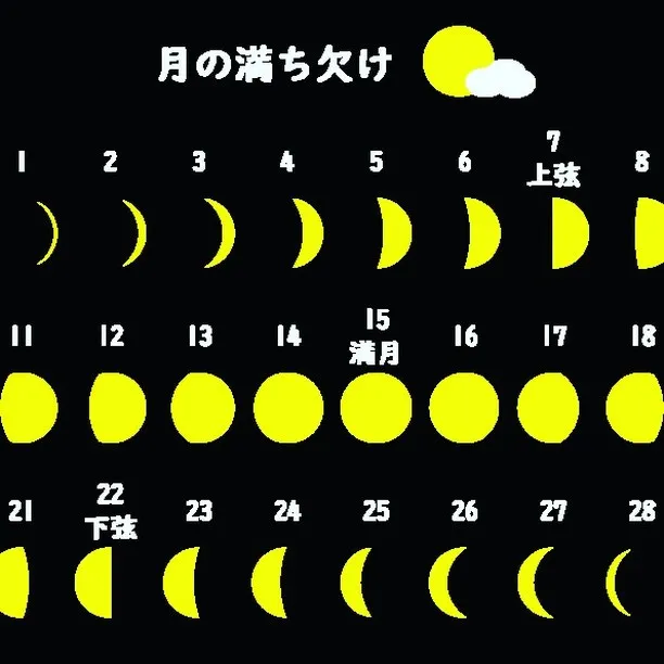 こんにちは、アーユルヴェーダヘッドスパnicoです🌙