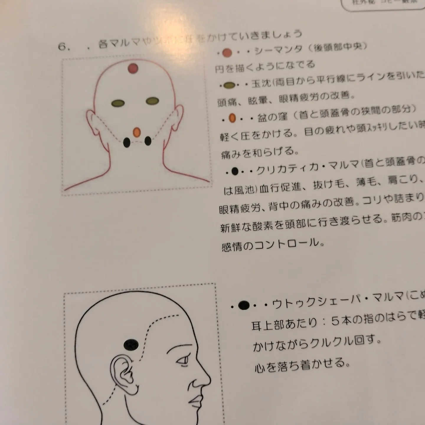 ヘッドスパで深める美容ツボの効果【四日市・ヘッドスパ】